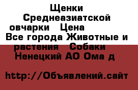 Щенки Среднеазиатской овчарки › Цена ­ 30 000 - Все города Животные и растения » Собаки   . Ненецкий АО,Ома д.